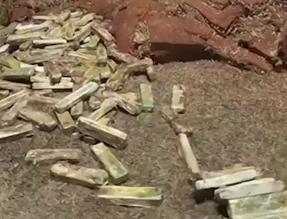 �������� � ������ ��������� ������������ � ��������