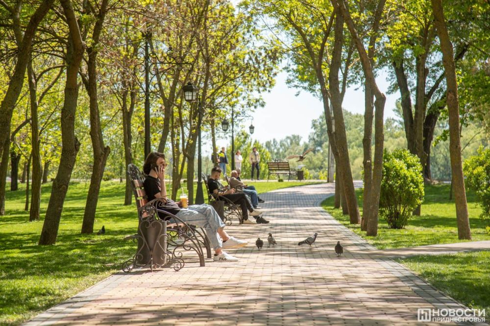 �������� ����, ��� ��������� �������, ���������