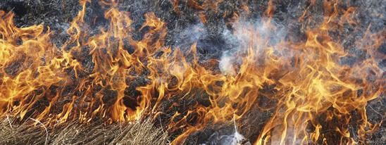 �������� ������� � ������������ ������ �������� ������������