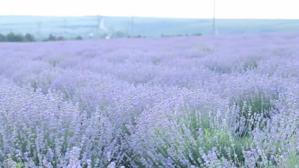 ���������� ���� ������, ��� �������� ������� � ��� ������!