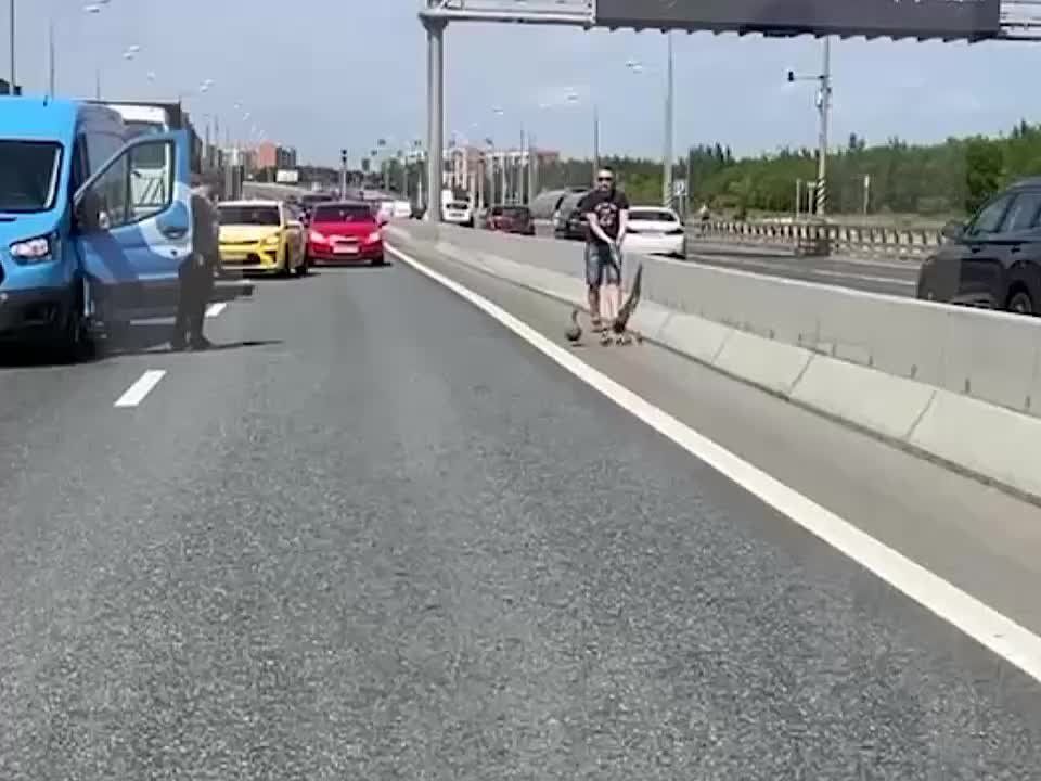 ���� ������! �� ������ ����������� ����!