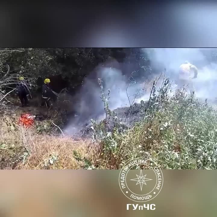 � 1 ��� � ������������� ��������� 145 ������� ���������� ����� �����, ������ � ������, �������� �����