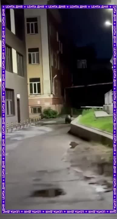 ������ �������� ������� �� ������ ������