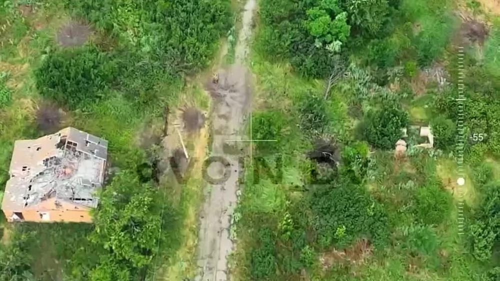 ������������ ������ ���������� ���������� ��� � ������ ���������� ��������������, ����������� �����������