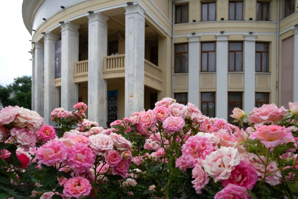 ����� ������� �������� �������: