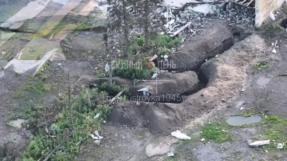 �� �� ������ ���������� ��������.