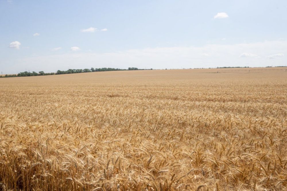 ��������� �� ����� � ����������� ������������ � ������������� ��� ����-����