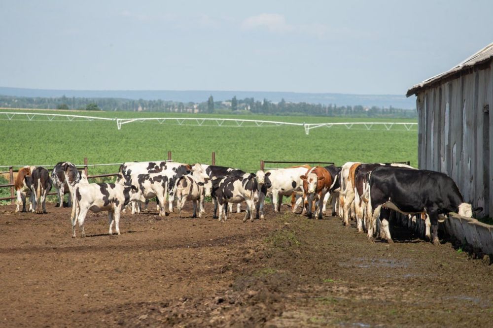 ����� ����������� ������� �� ���������������� ���� ��� ����������