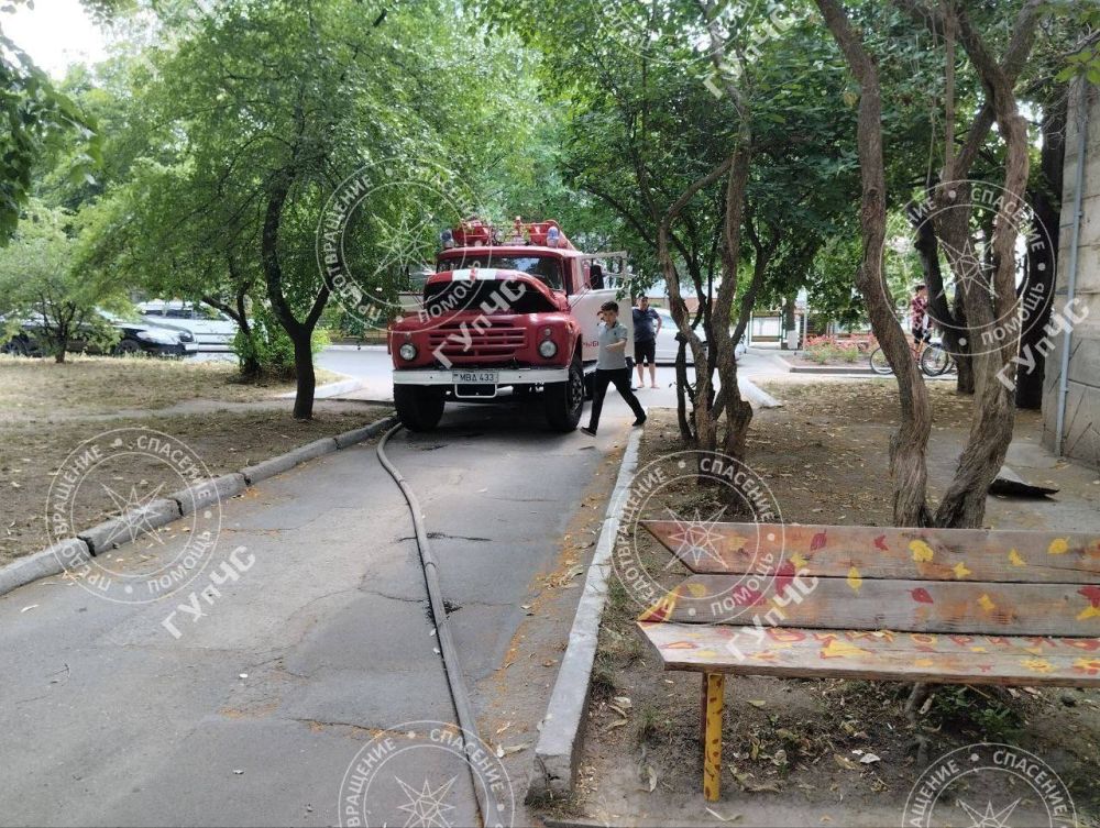 ����� � �������. ����� ��� ����� ��� 29 ���� �� ������ ����� �������� 101 ��������� ���������: �� ����������� ��������� ������������ ���� �� ����� �������� ����� ������ ���