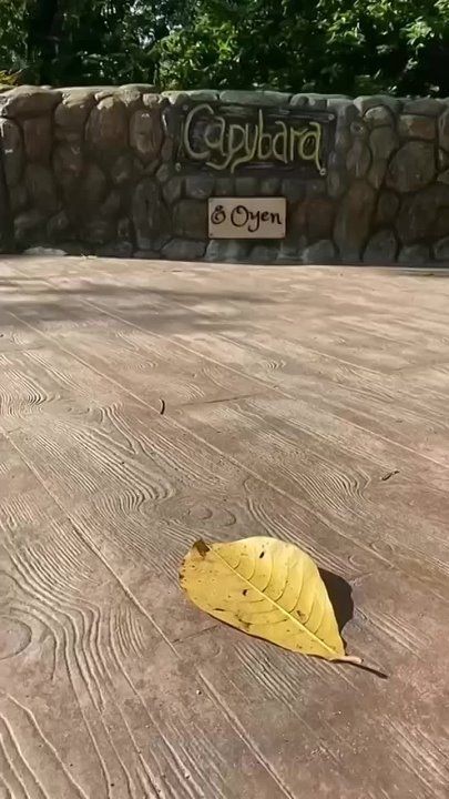 ������ ���: � ����������� �������� ���� �������� ������ � ����������, ��� ��������� ����� ��� �� ������ ����