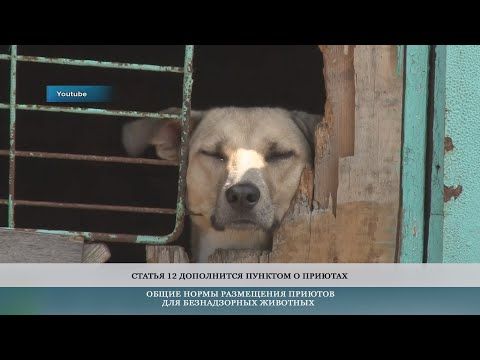 ���������� ��� ������� � ������ �������� ���������� � ���������� ������� ��� ��������. ���������� �� ��� �� ����� ����� ������ ���� �����, ����� �� ��������� ��� ����� � ���������� �����