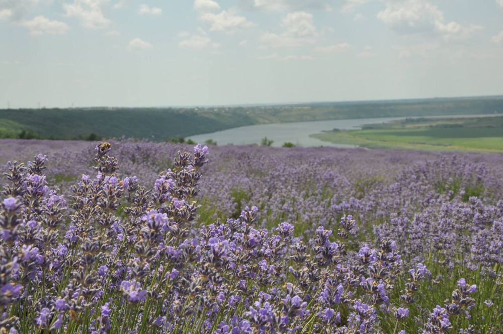 ������� ������. �������, 30 ����, ��������� ���������� ����������, ��� �������