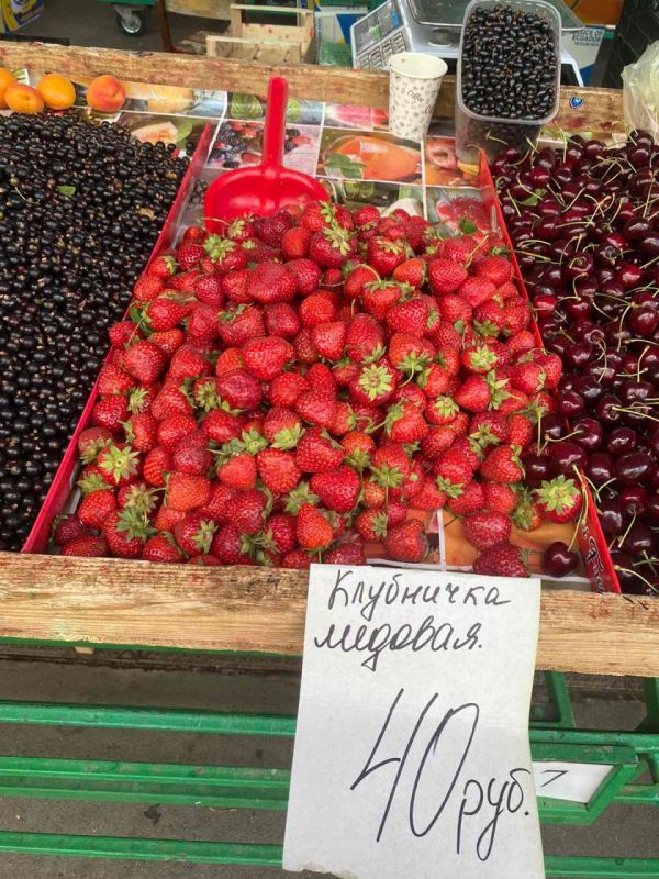 �������� �� ����� �������, �������� ���������, �� 40 ������