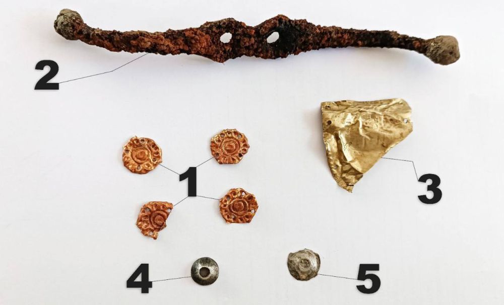 ��� �������� ������� ����� ����������