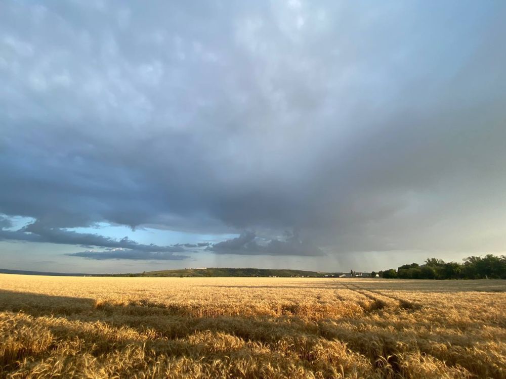 30 ���� �� ���� ���� ����������� ������ ��� � ��������� ��������� ����������