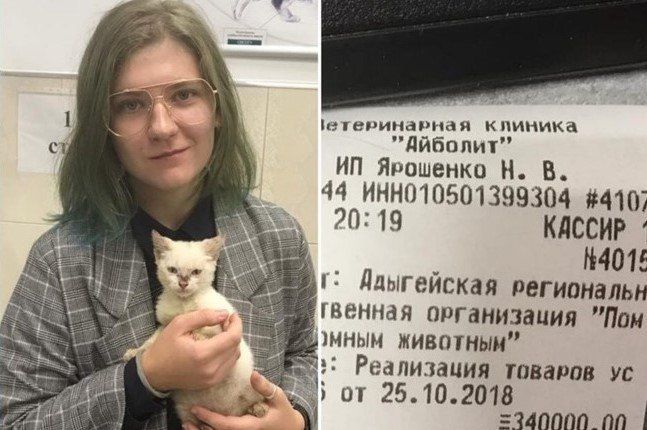 ������� �������� ���� ������ ��� �������� � ����� ��������