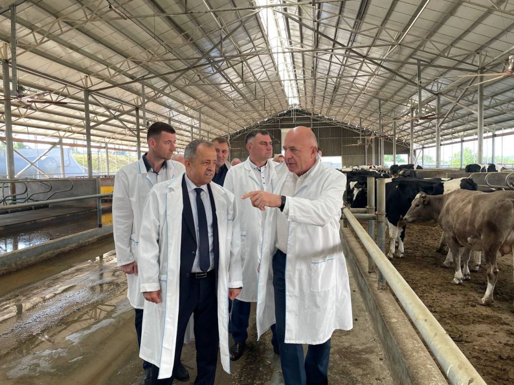 ������� ������� ���� �� ���������� ���������������� �������� ����������