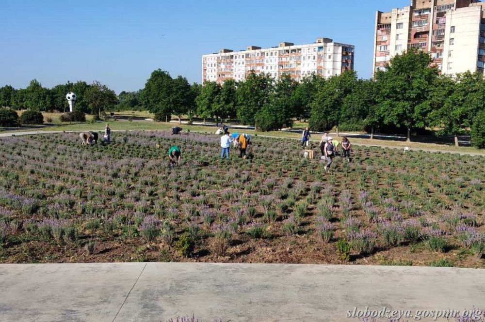 � ������������ ����� ������� ����� �������