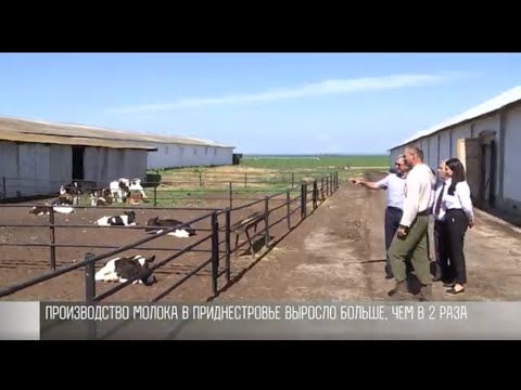 �������� ������� � ���� ��� �����, �������� ����� � ���� ��� �����������. ��������� ���������� � � ������������� ������