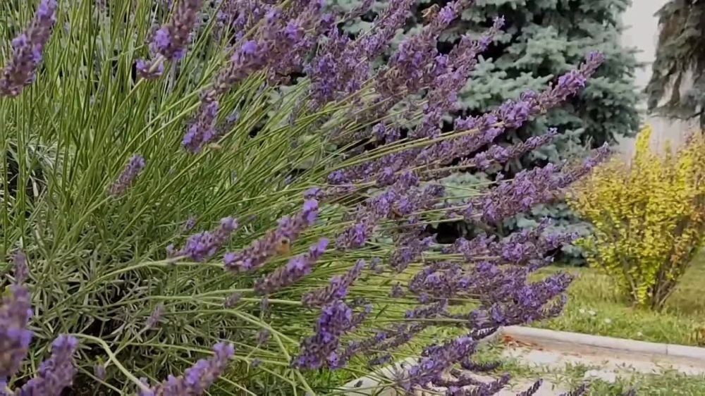 � �� �����, ��� � ������� ���� ����? ��� �������� - �� ������