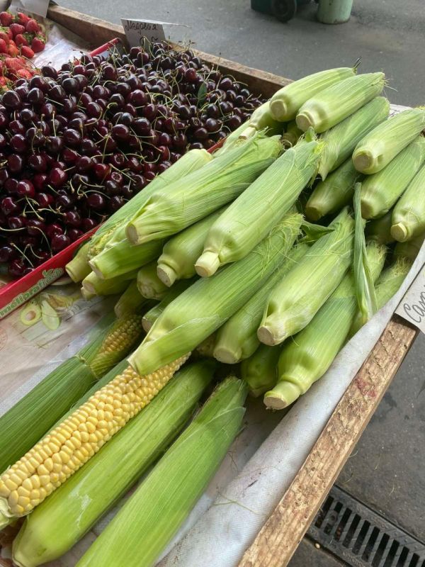 �� ������ ����� ��������� ������ ������� ��������