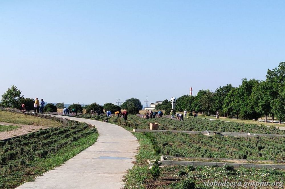 ����� ������� ��� ������� � �����������