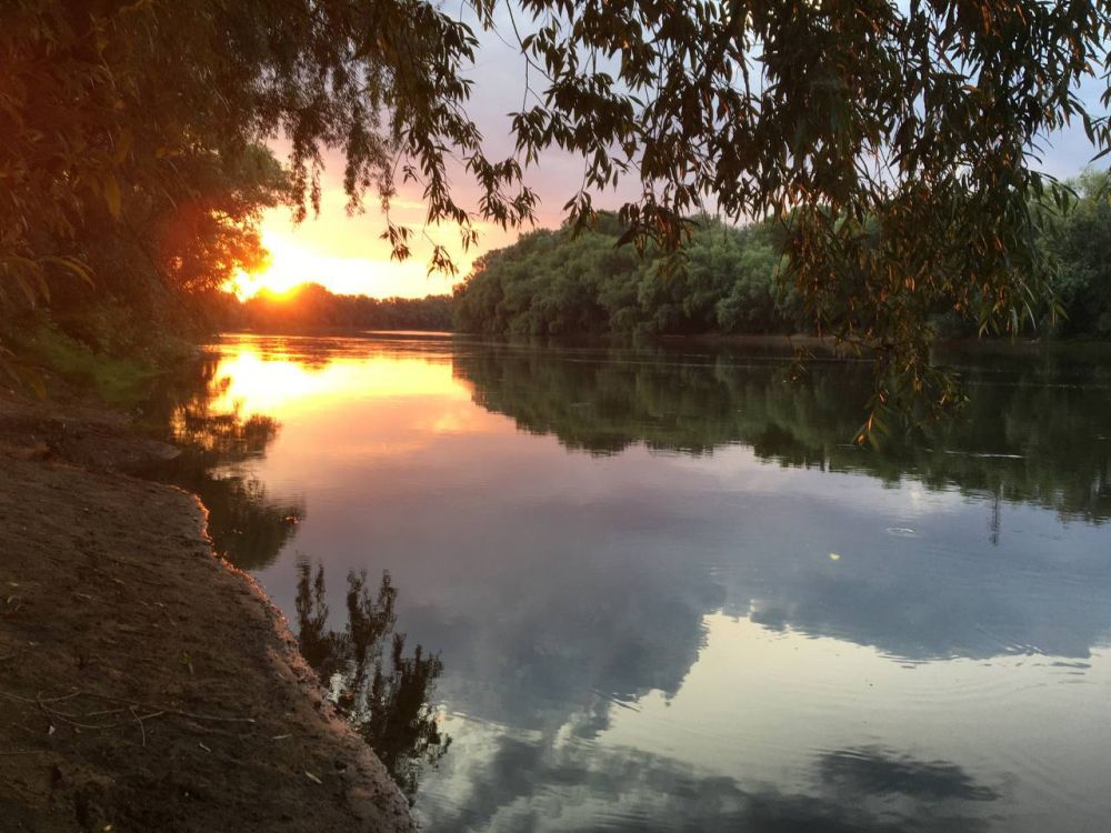 ���������� ���������� ������ �������� ������� � ��������� �����