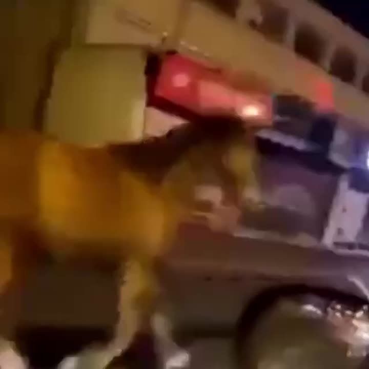 �� ������� ������������ ��������� � ������� � ��������� ��������