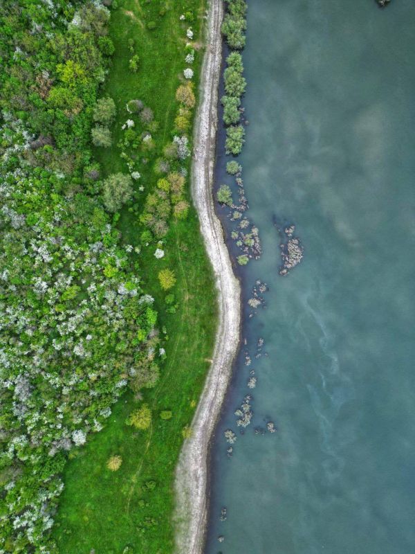 ������ � ����