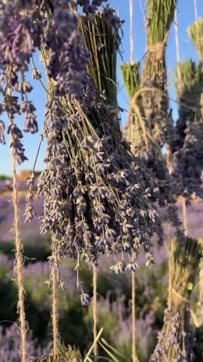 ����� �� ���������� ����. ���������������� ������� ����������