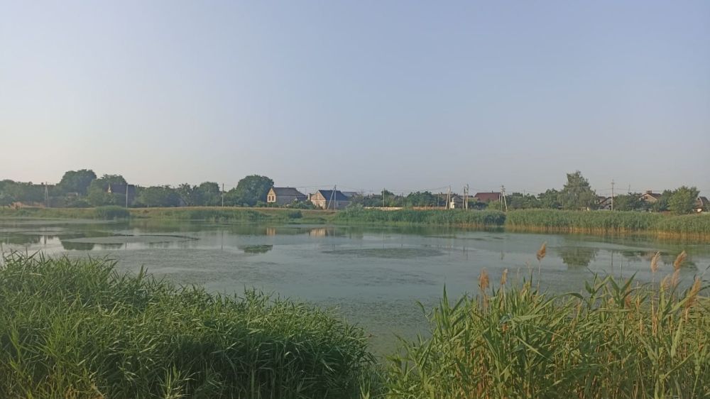 ����� �� ��������� ������� � ������� ���� ������ �� ����������� � ��� ����� ������� ����� �� �������