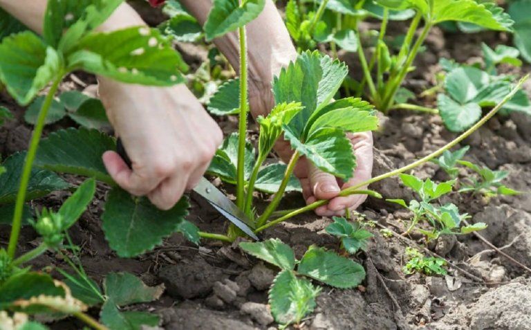 ���� � ��������� ���������� � ����� ������ �� ������