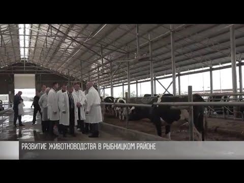 ��� ����� � ��������� �������� ����������? ��� ���� �� ������ � ��������� � ���������? ������� ��������� � � ��������� � ��������� ������