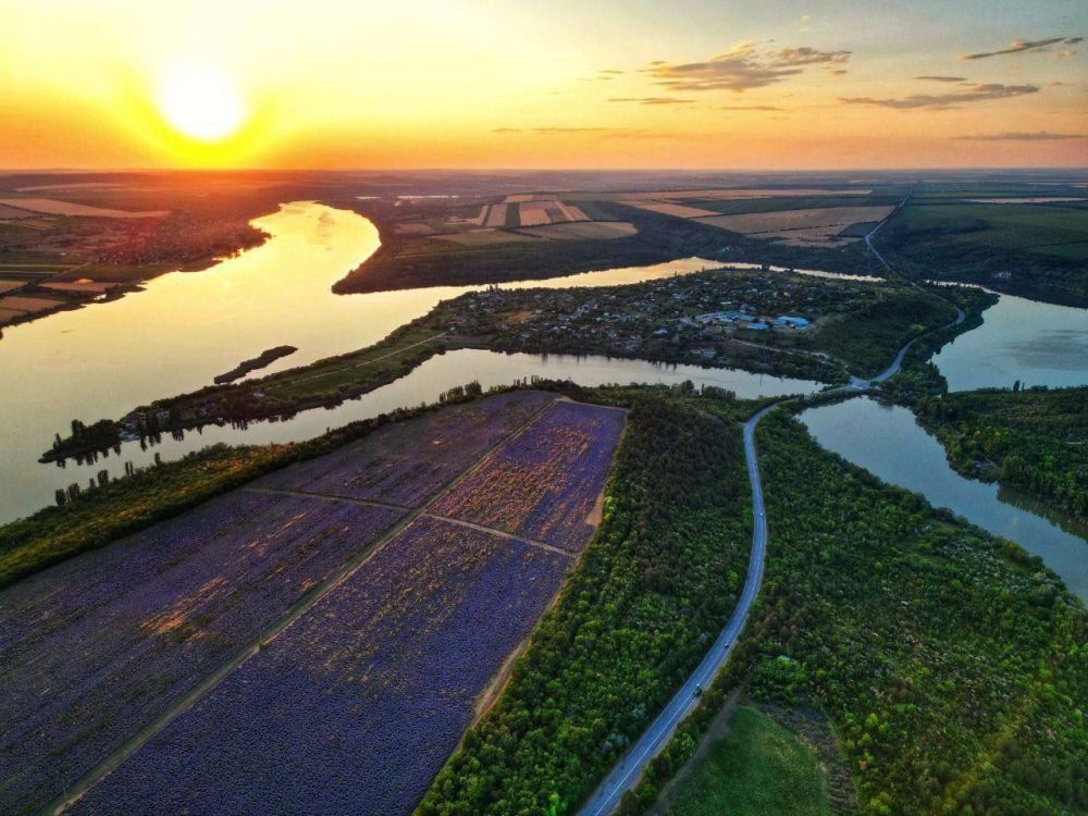 ���������� ���� �� ������. �����. ������������ ����� � ������