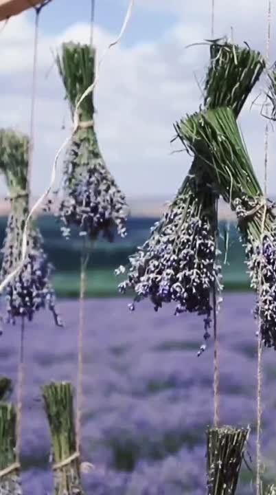 ���������� ���� � �������������.