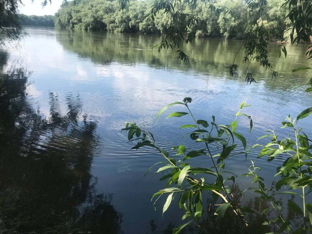 �� 37 �������� ���� ������������ �� ��������� ������