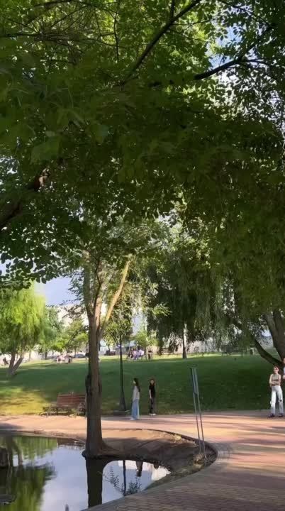 ���-��������� � � ����� � �������� � ��������������