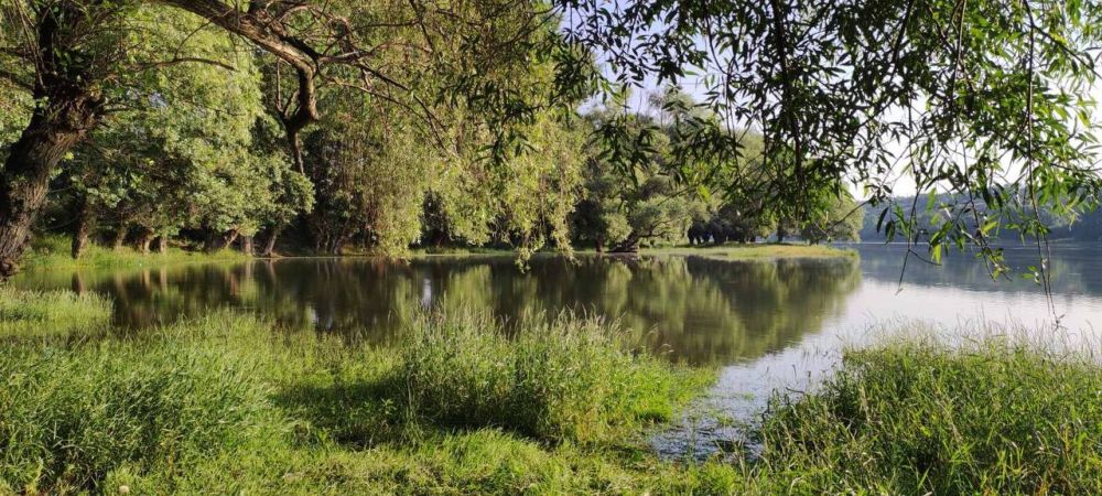 ������� ������� ����. �� ����� ����������. ���� �������� ������ ���������