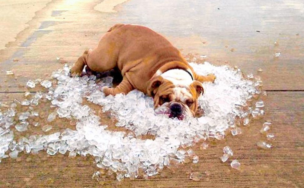 �� ������ ��������������, �������, �� ���������� ��������� ��������� ����������� ������� 33 ������� � ����