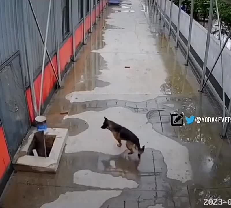 ������� ������� �� ������ ���������, ����� ������ ������ �����