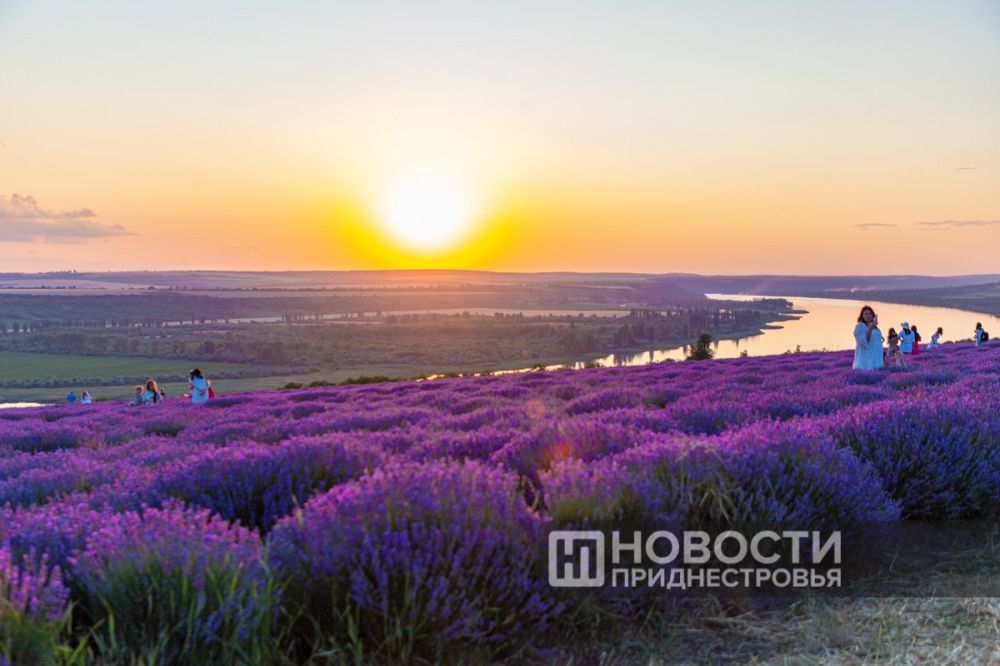 ������� ����������� ���� ����������� ��������� � ������: ������� ����������� ������������ ���������������� ������!