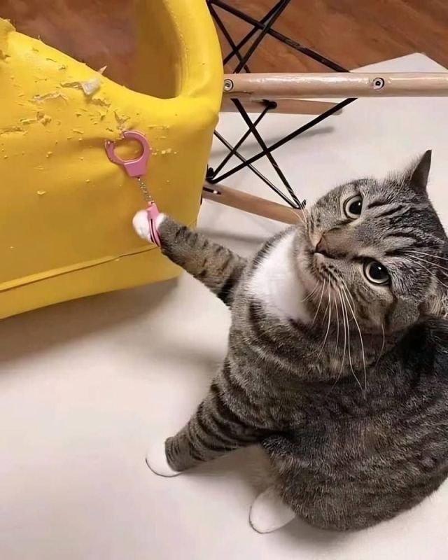 ����������� ���������. ������� ������!