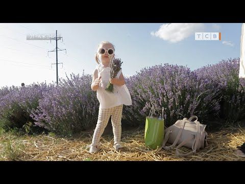 � ������������ ������ ����� ����� ����� � ���� �������� ��������� �������. � ���������� ��� ������������� ���������� ������...