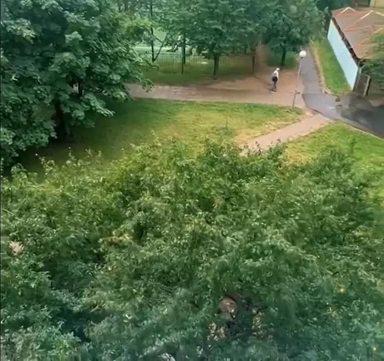 � ������ ����� ����� ���� ������.