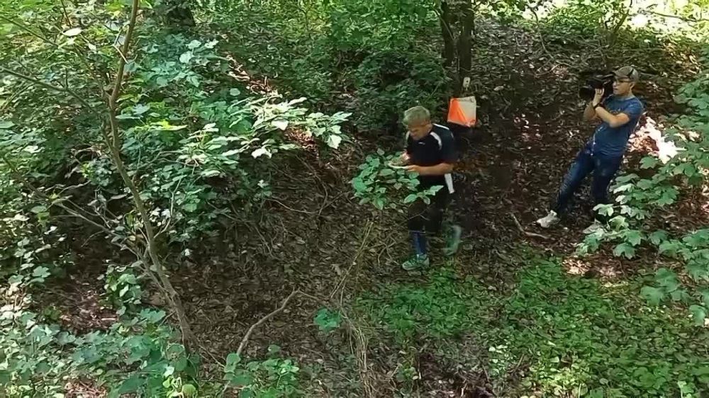 ��� ����� �� ����? ������ ����� ������ ���� 40 �������