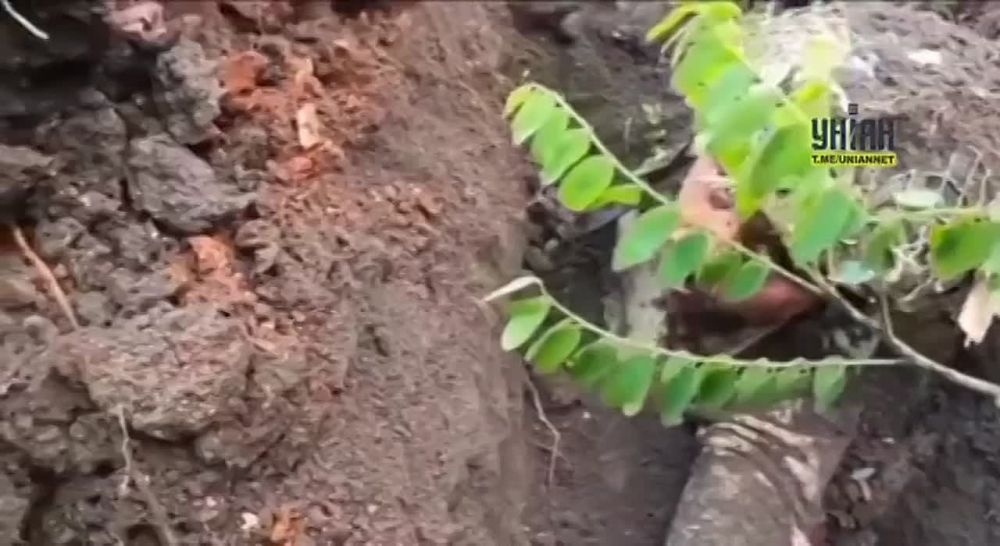 �������� ׸���� ����, �������� � �������! ���������� ���������� ���� �� �������� ���. � ���������� ������ ������ ����������� ������� �������� �����