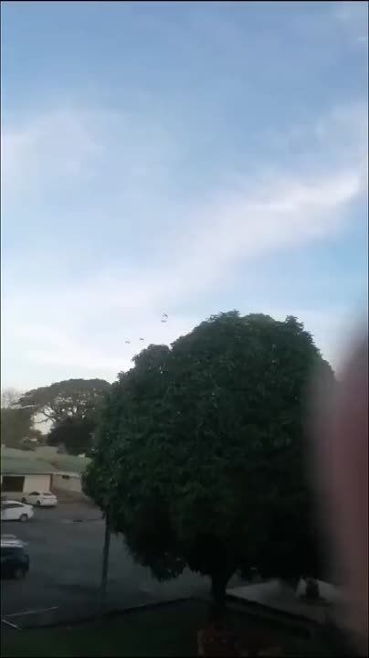 ��� �������� ��� �������� ����������� � ���� � ���-������� �� ������, � ������ Semana