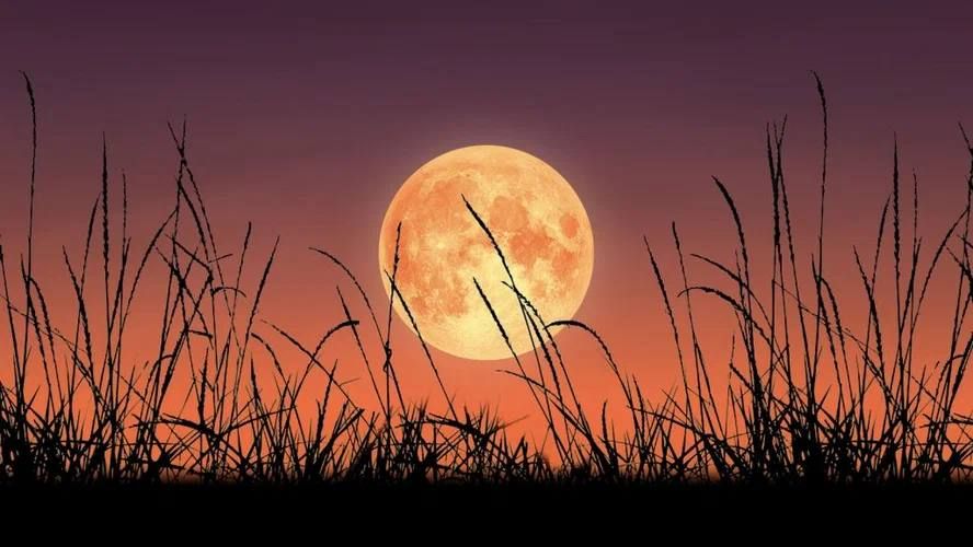 � ���� �� 4 ���� ������ ����� ������ � ���� �������� ����������