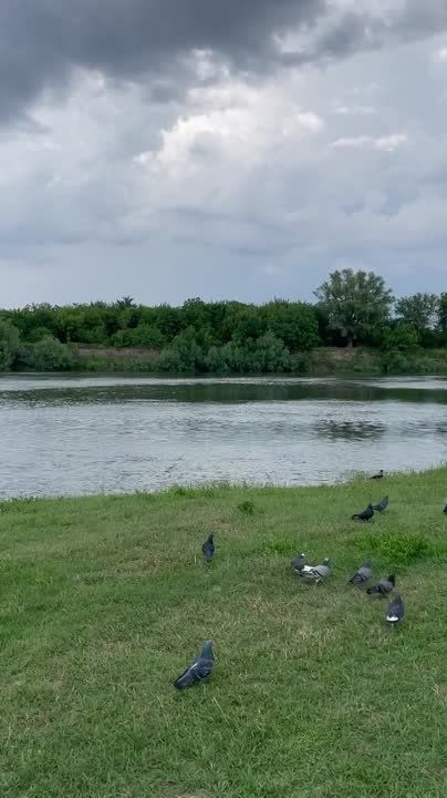 ���� �����. �������� ��������� ��������������.