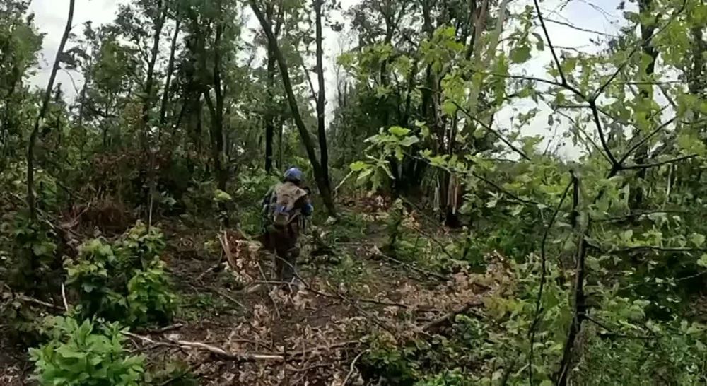 ������� ����� � �������� ������� ������ � ���� ��������, ��� ��������� �� 3-� ��������� ��������� ������� �� ������� ����� ��� ����� �������� 4-� ��������� �������������� ������� �� ������ (����